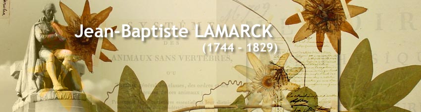Jean-Baptiste Lamarck, photo : stéphane pouyllau, CNRS